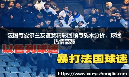 法国与爱尔兰友谊赛精彩回顾与战术分析,球迷热情高涨