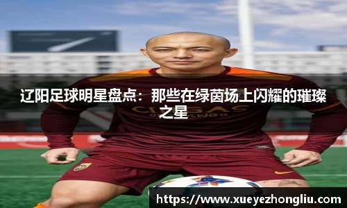 辽阳足球明星盘点：那些在绿茵场上闪耀的璀璨之星